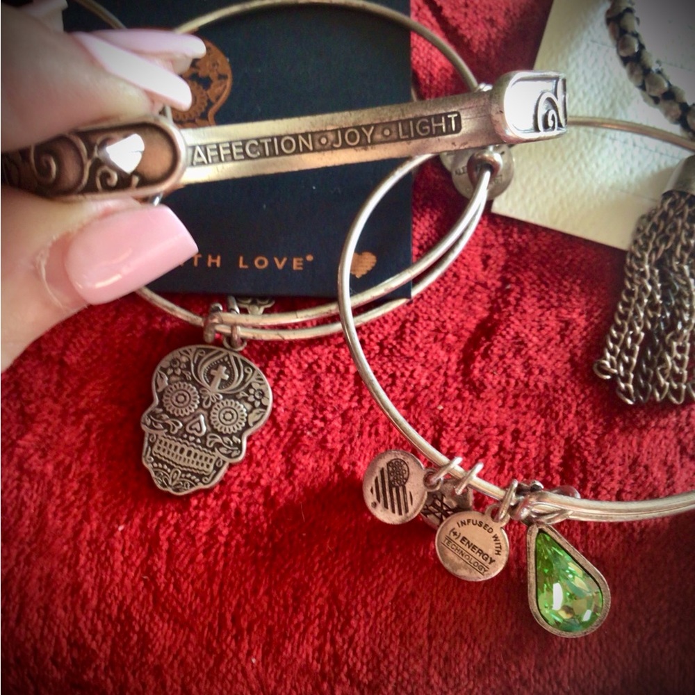 9 Retired Alex and Ani Silver Charm Bangles  “Regal Set”